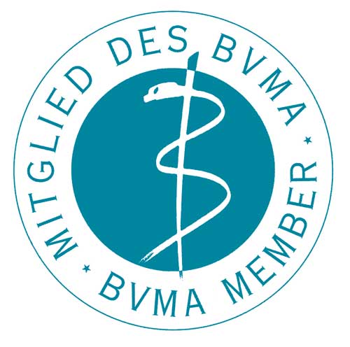 bvma member